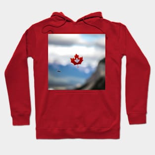 Maple Leaf Falling Hoodie